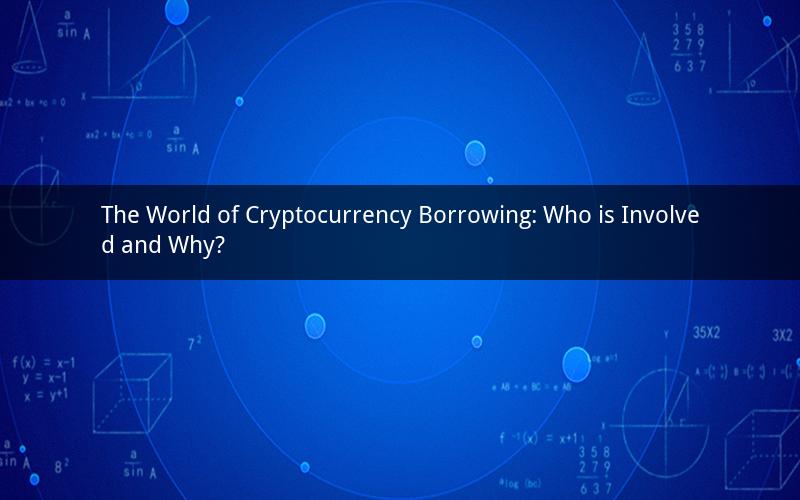 The World of Cryptocurrency Borrowing: Who is Involved and Why?