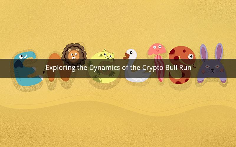 Exploring the Dynamics of the Crypto Bull Run