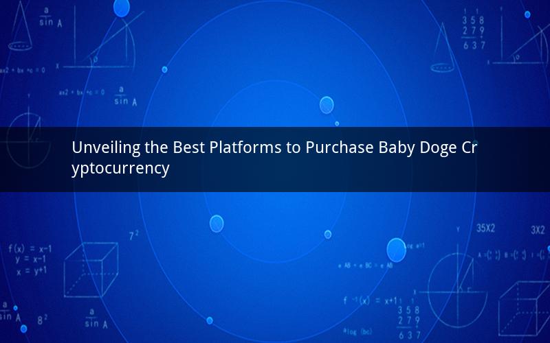 Unveiling the Best Platforms to Purchase Baby Doge Cryptocurrency