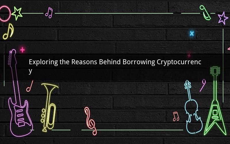 Exploring the Reasons Behind Borrowing Cryptocurrency