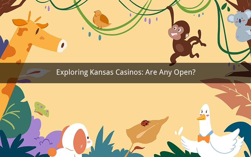 Exploring Kansas Casinos: Are Any Open?