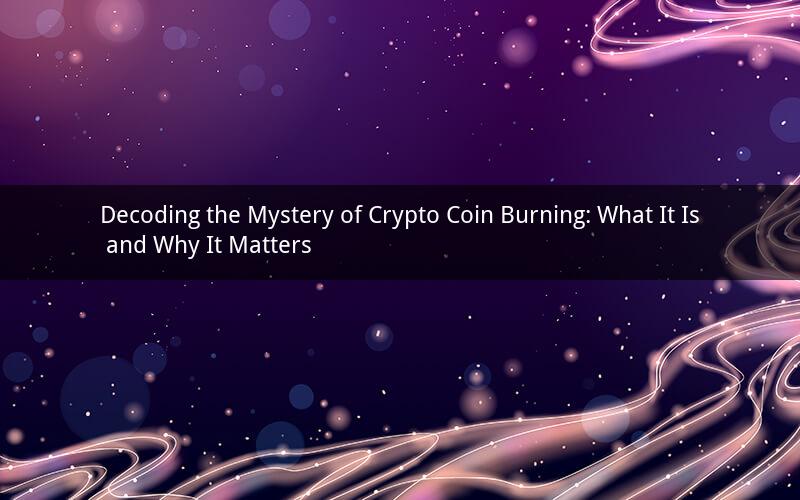 Decoding the Mystery of Crypto Coin Burning: What It Is and Why It Matters