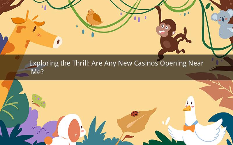 Exploring the Thrill: Are Any New Casinos Opening Near Me?