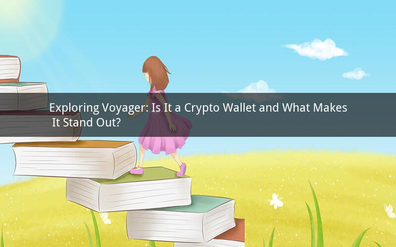 Exploring Voyager: Is It a Crypto Wallet and What Makes It Stand Out?