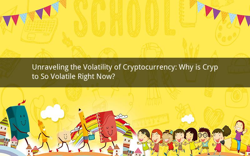 Unraveling the Volatility of Cryptocurrency: Why is Crypto So Volatile Right Now?