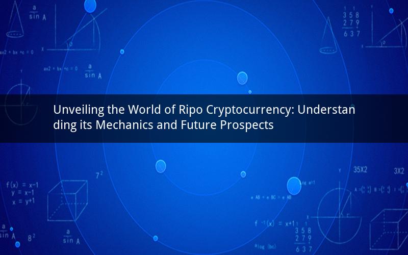 Unveiling the World of Ripo Cryptocurrency: Understanding its Mechanics and Future Prospects