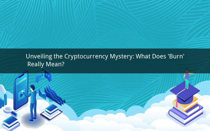 Unveiling the Cryptocurrency Mystery: What Does 'Burn' Really Mean?