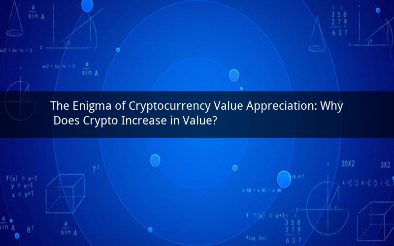 The Enigma of Cryptocurrency Value Appreciation: Why Does Crypto Increase in Value?