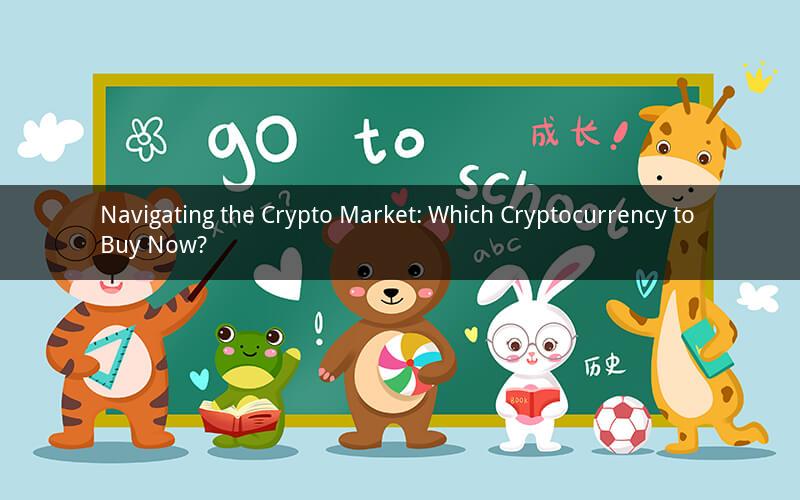 Navigating the Crypto Market: Which Cryptocurrency to Buy Now?