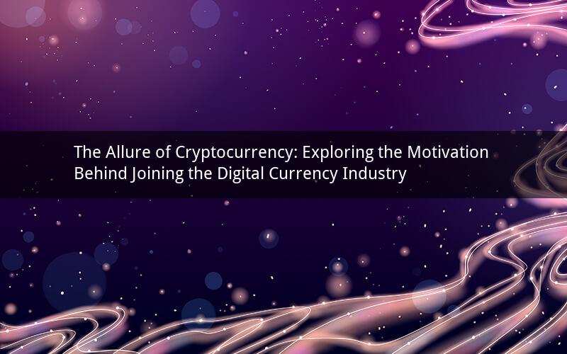 The Allure of Cryptocurrency: Exploring the Motivation Behind Joining the Digital Currency Industry