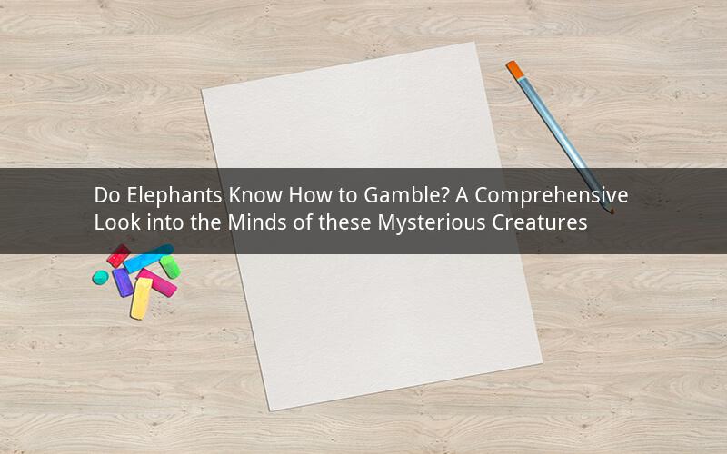 Do Elephants Know How to Gamble? A Comprehensive Look into the Minds of these Mysterious Creatures