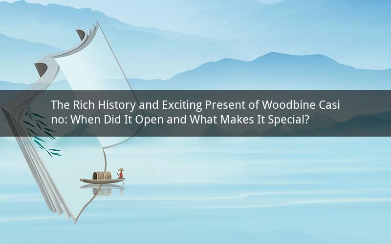 The Rich History and Exciting Present of Woodbine Casino: When Did It Open and What Makes It Special?