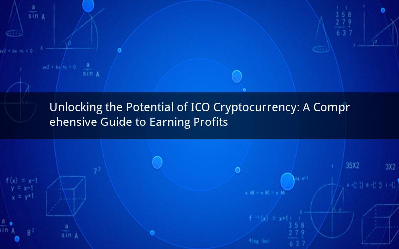 Unlocking the Potential of ICO Cryptocurrency: A Comprehensive Guide to Earning Profits