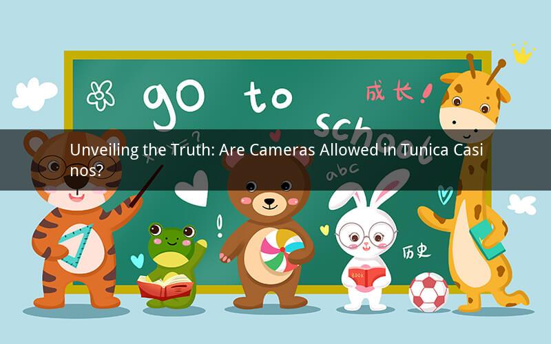 Unveiling the Truth: Are Cameras Allowed in Tunica Casinos?