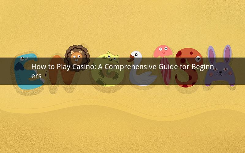 How to Play Casino: A Comprehensive Guide for Beginners