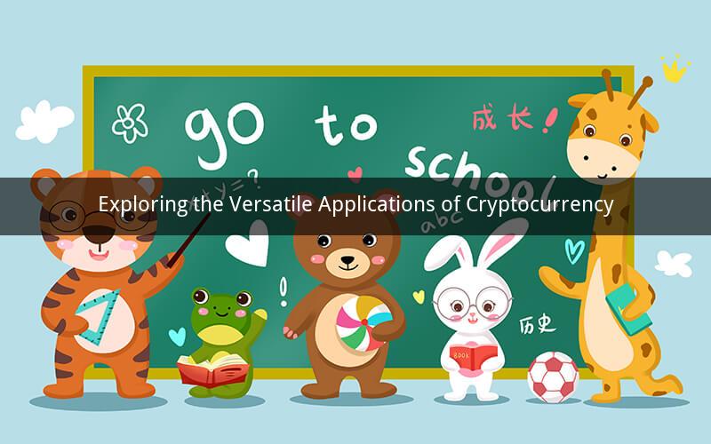 Exploring the Versatile Applications of Cryptocurrency