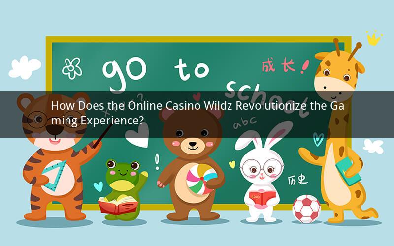 How Does the Online Casino Wildz Revolutionize the Gaming Experience?