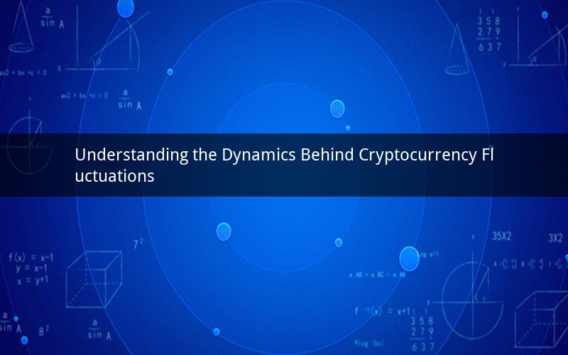 Understanding the Dynamics Behind Cryptocurrency Fluctuations