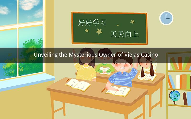Unveiling the Mysterious Owner of Viejas Casino