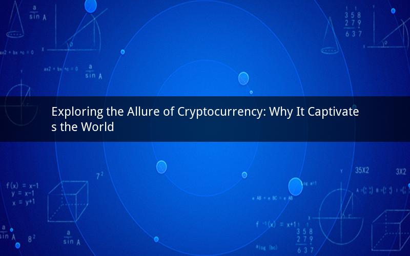 Exploring the Allure of Cryptocurrency: Why It Captivates the World